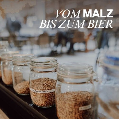 BRAUSEMINAR
